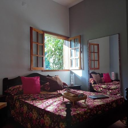 Divin'Art Bed & Breakfast Ribeira Grande Dış mekan fotoğraf